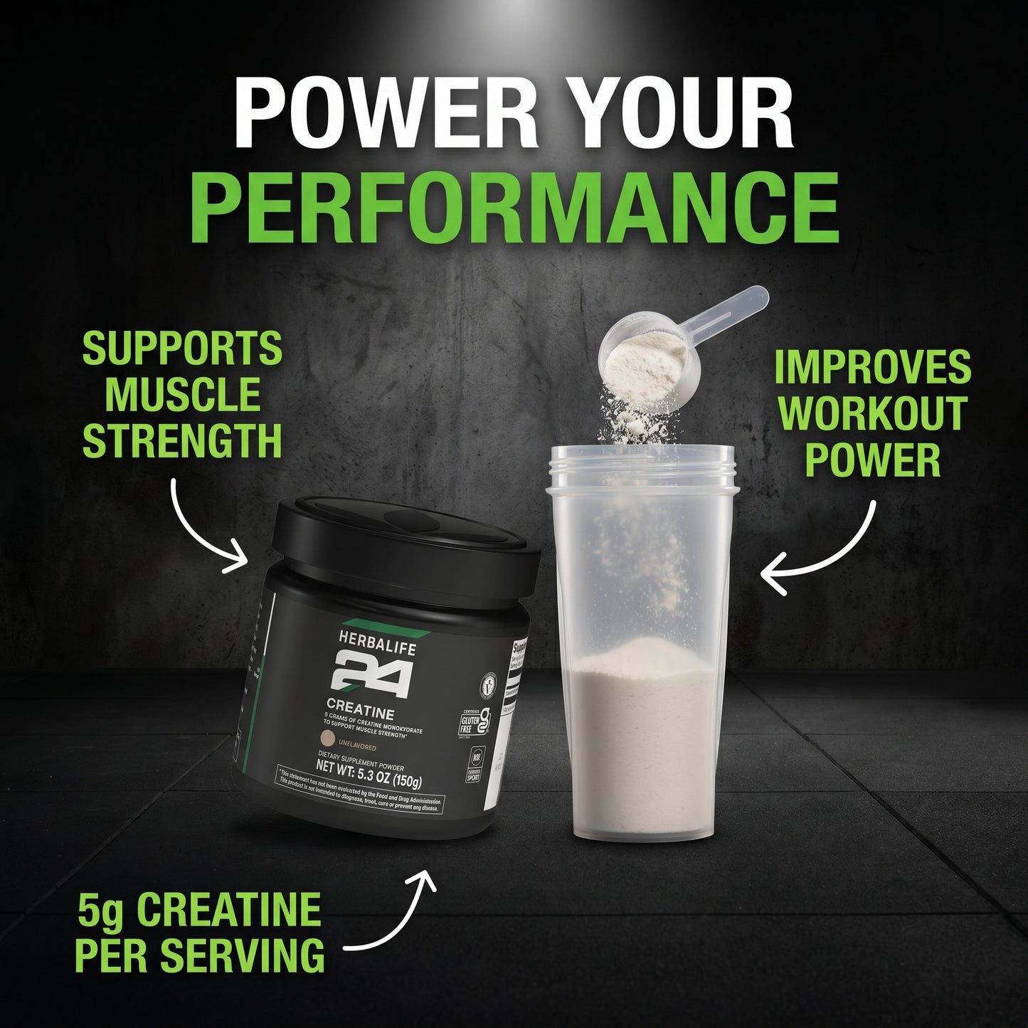 Creatine Monohydrate Powder