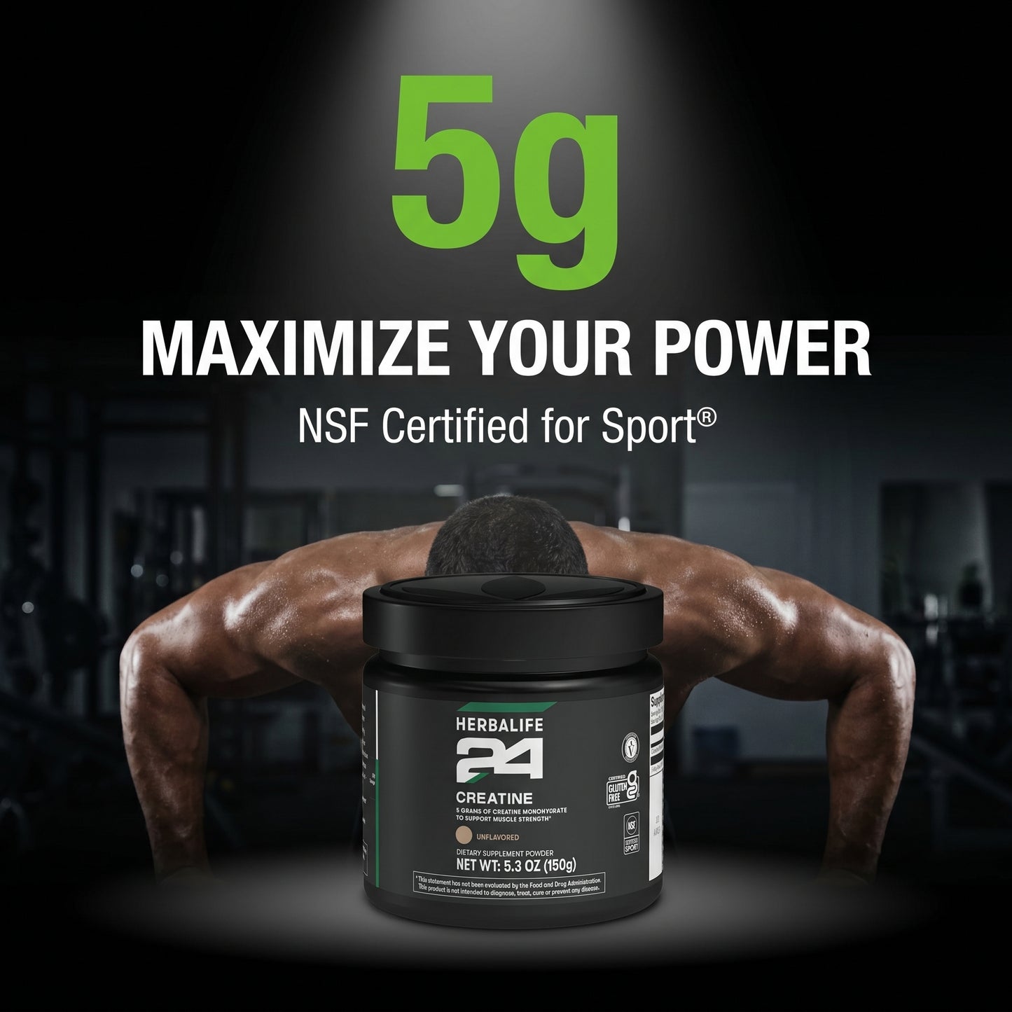 Creatine Monohydrate Powder