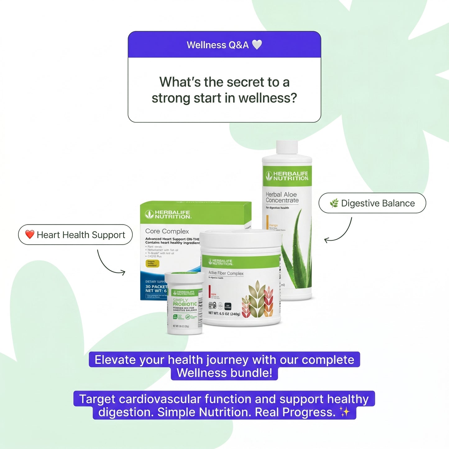 Wellness: Elevate Your Health Journey